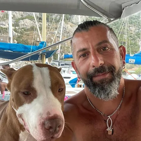 Tekne Ve Bölgesinde Konforlu Bir Yelkenli Tekne *